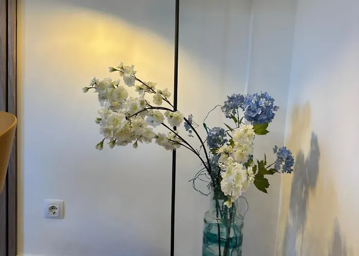 Casa Colibri شقة كوراليهو